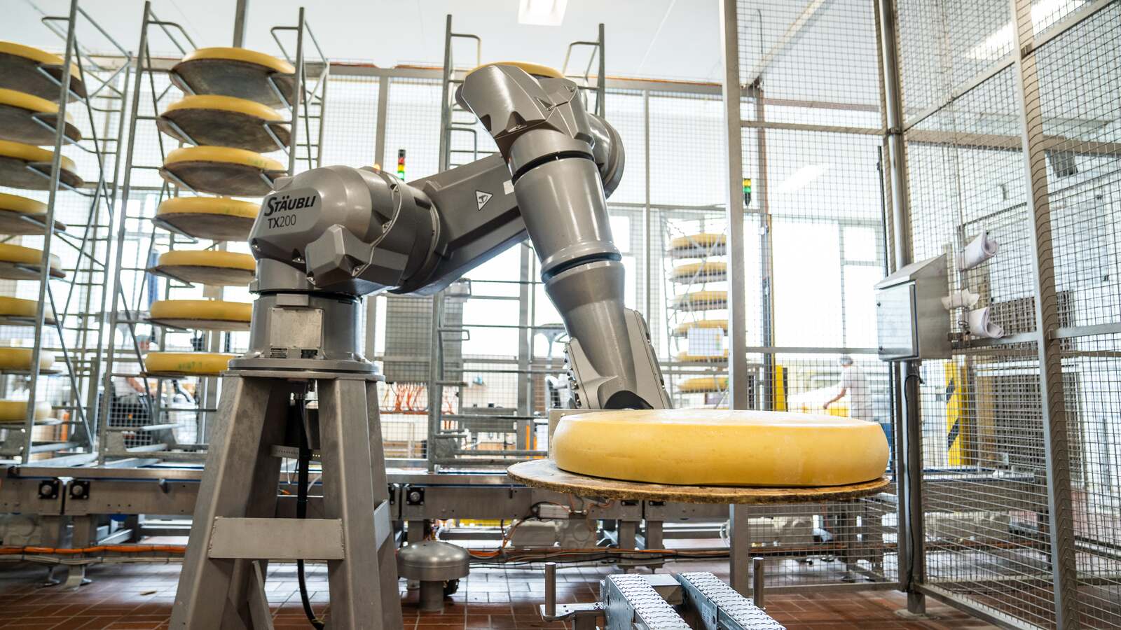 Fully automated cheese maintenance with a robot - International Federation  of Robotics