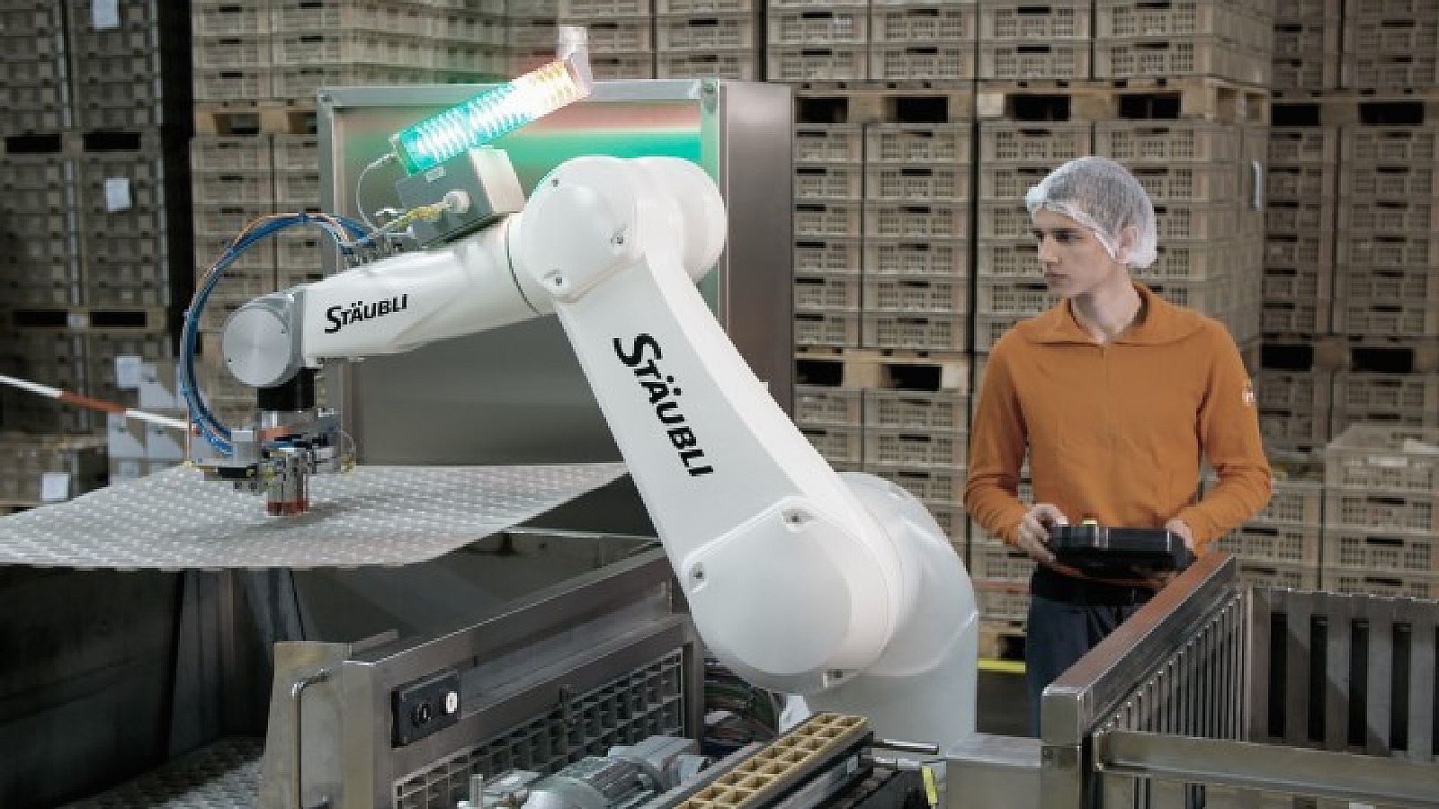 ManRobot Collaboration Set for a Great Future in the Food Industry